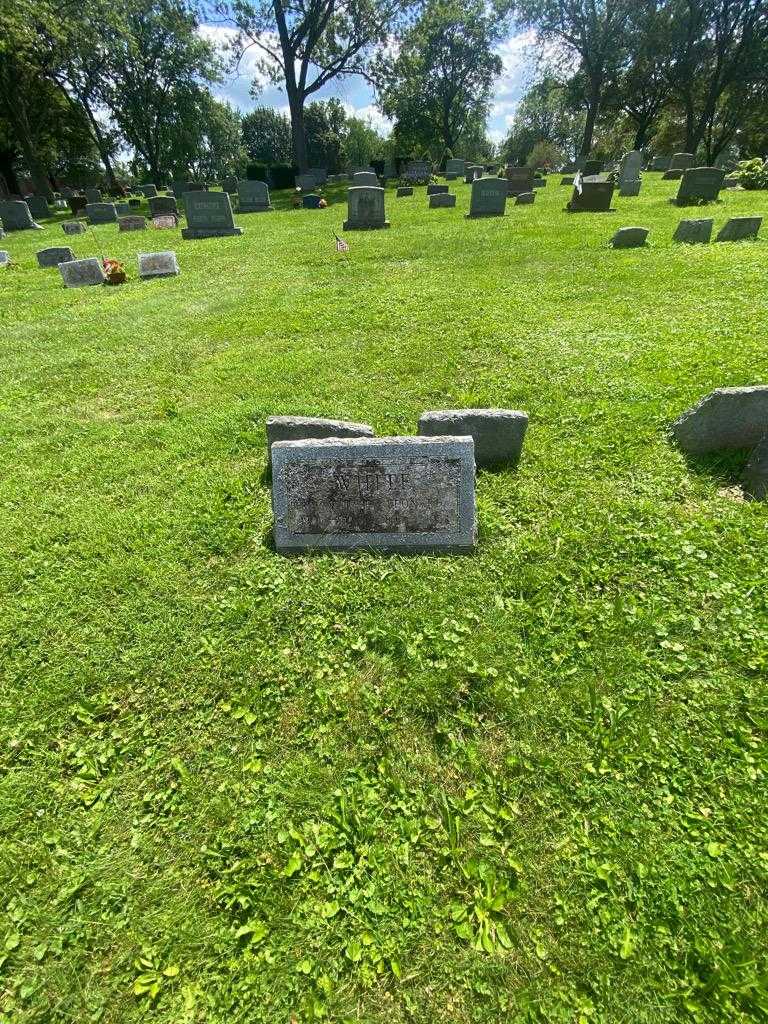 Leonard White's grave. Photo 1