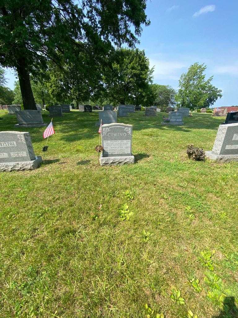 Robert William Cimino's grave. Photo 1