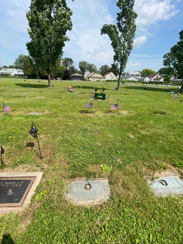 Julius Odom Junior's grave. Photo 1