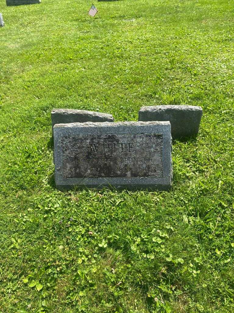 Leonard White's grave. Photo 2