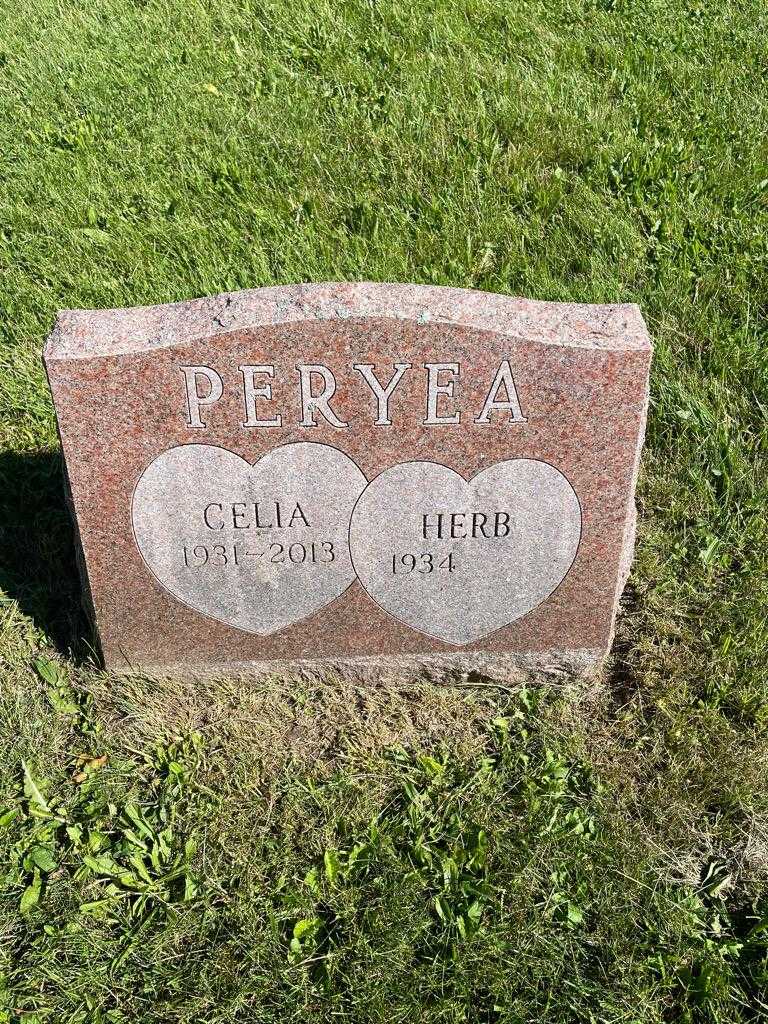 Celia Peryea's grave. Photo 3