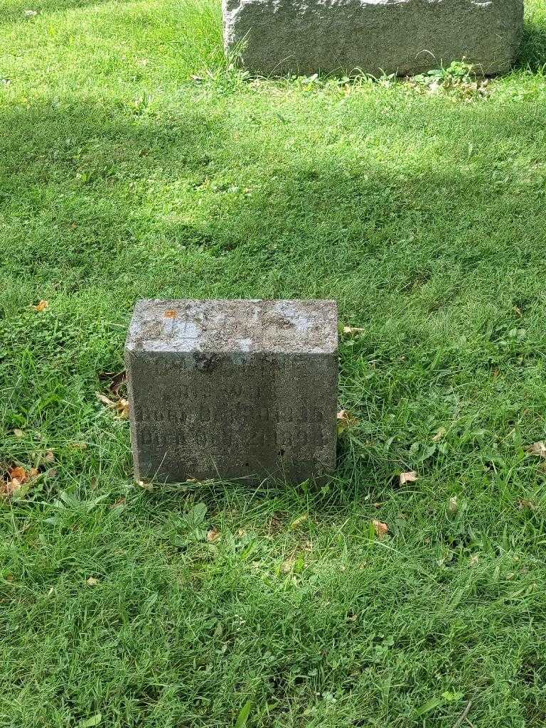 Caroline Miller's grave. Photo 2
