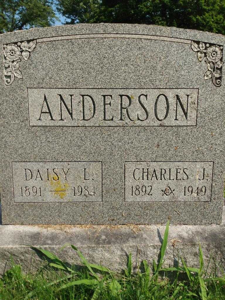 Daisy L. Anderson's grave. Photo 3
