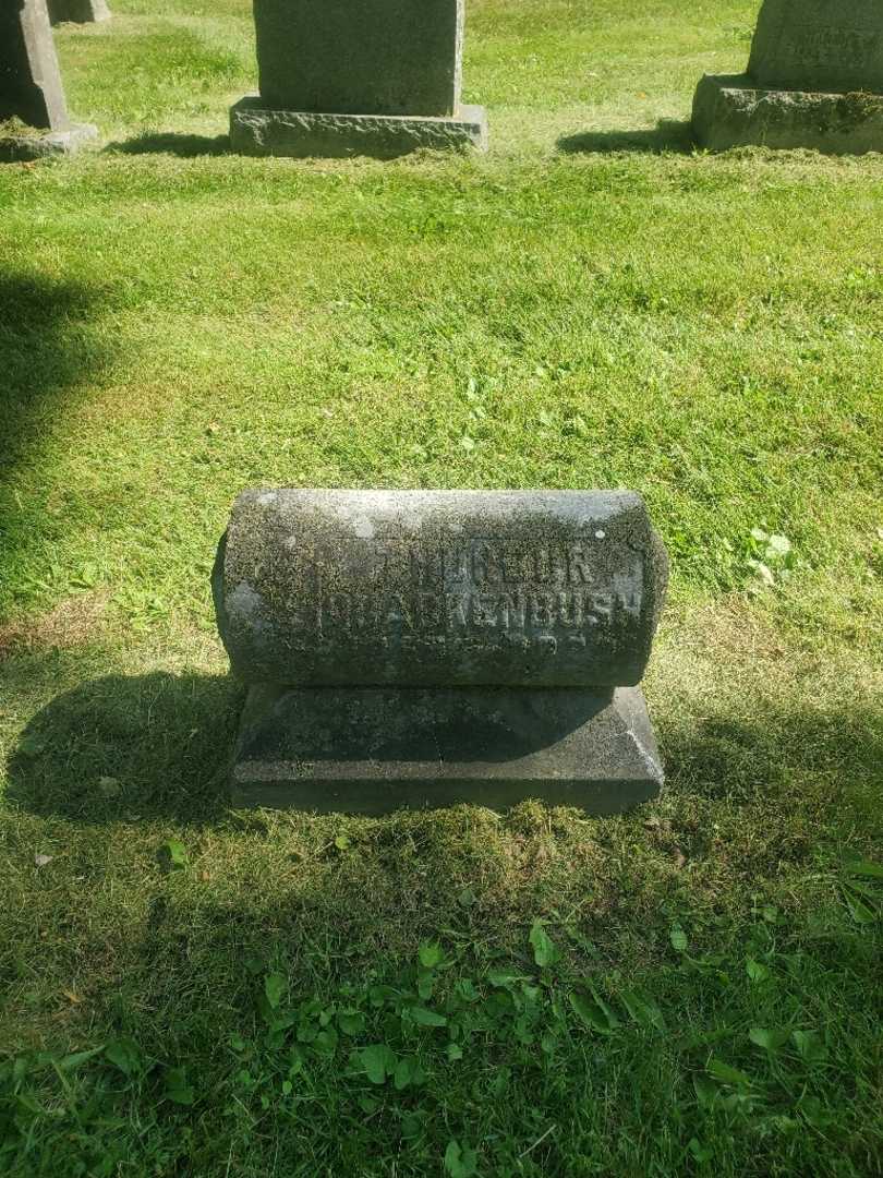 Thurbur Quackenbush's grave. Photo 2