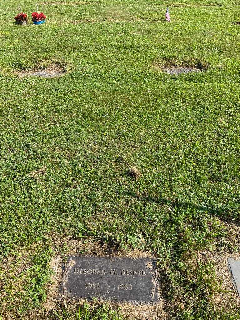 Deborah M. Besner's grave. Photo 2