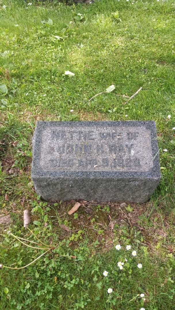 Nettie L. Ray's grave. Photo 3