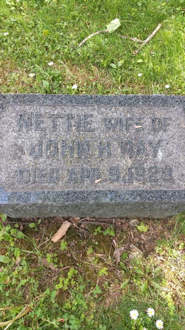 Nettie L. Ray's grave. Photo 4