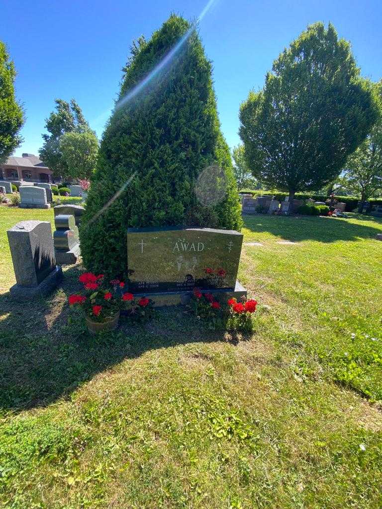 Antoinette Awad's grave. Photo 1