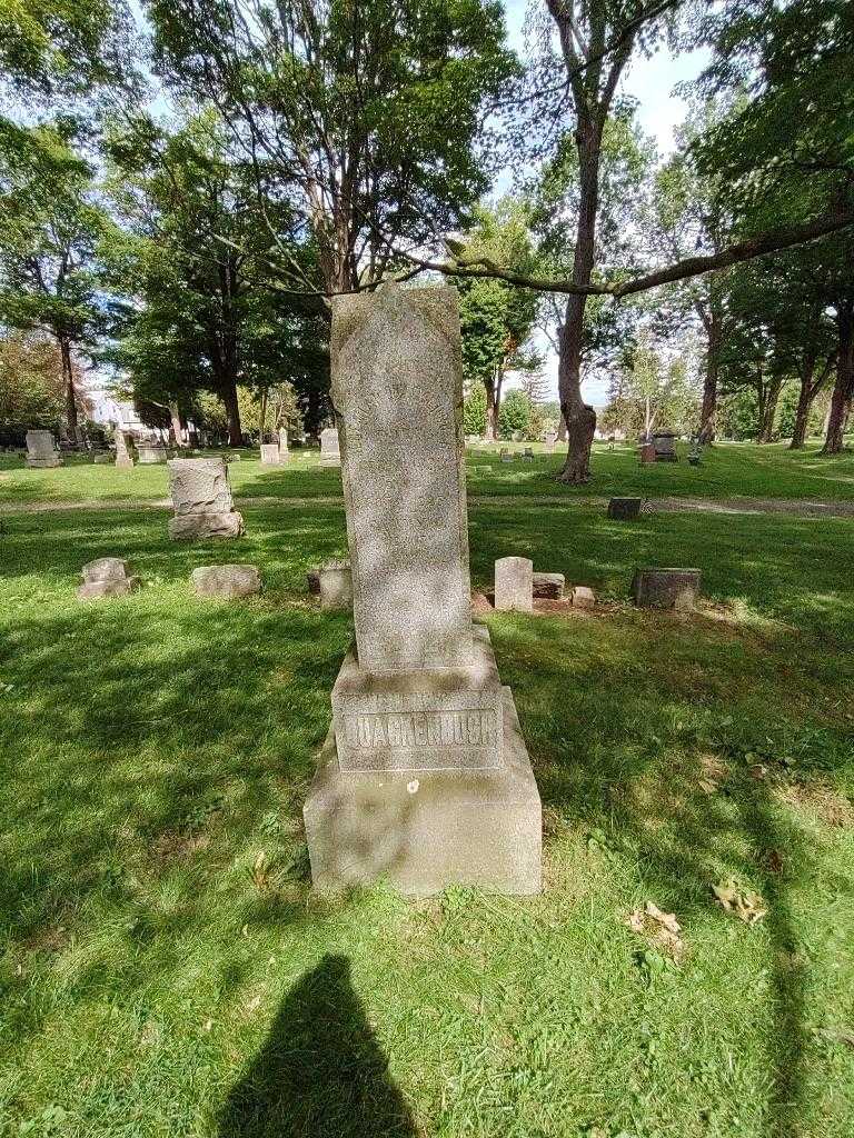 Fannie P. Quackenbush's grave. Photo 1