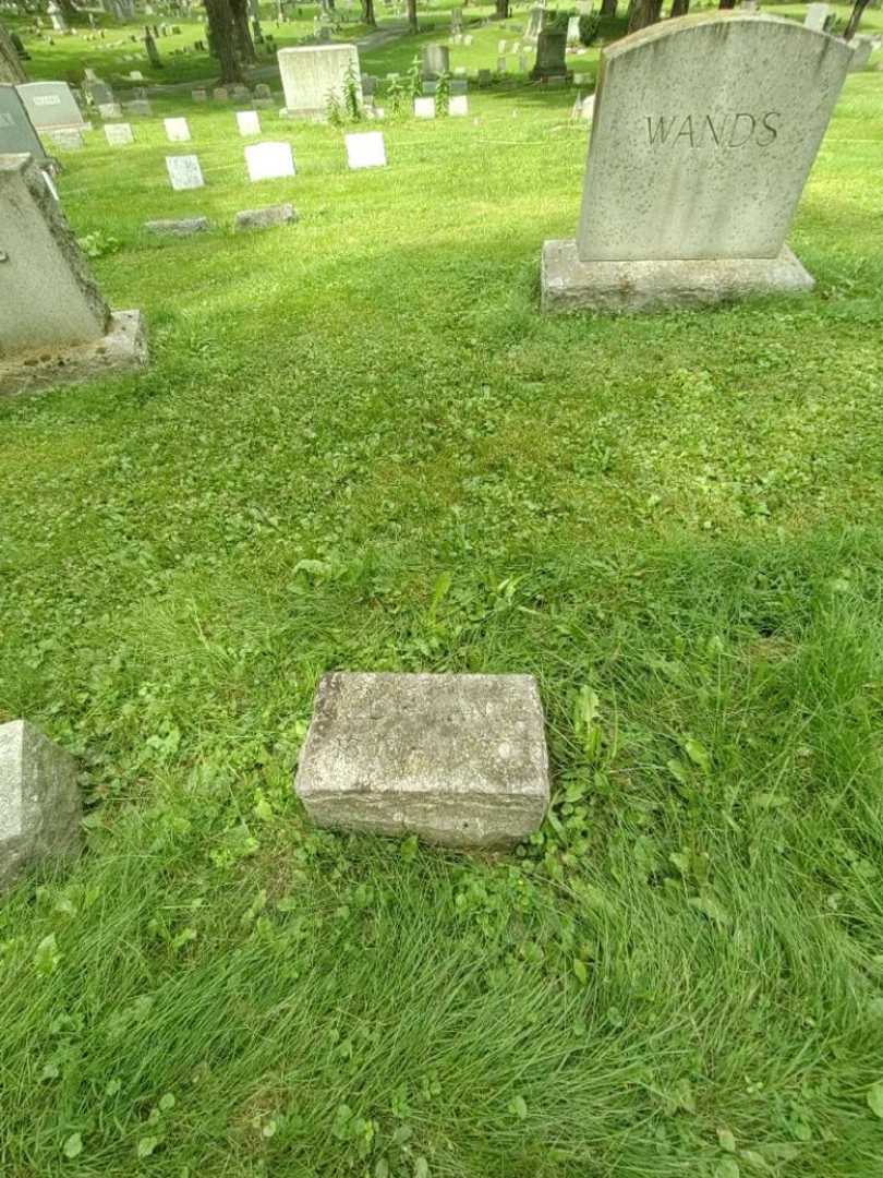 Fred F. Wands's grave. Photo 3