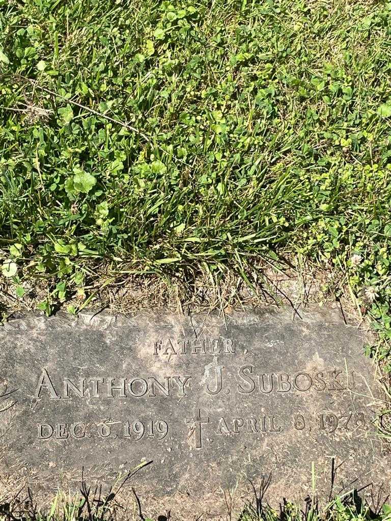 Anthony J. Suboski's grave. Photo 3