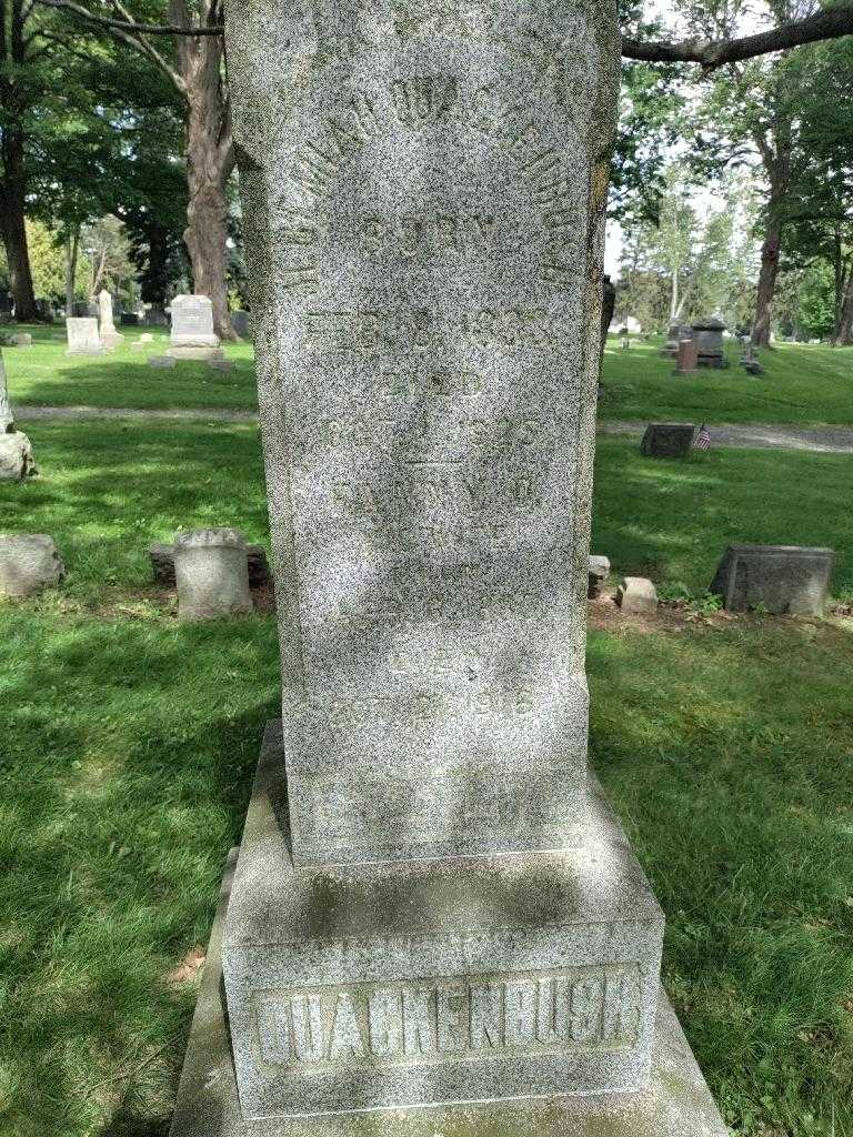 Fannie P. Quackenbush's grave. Photo 2