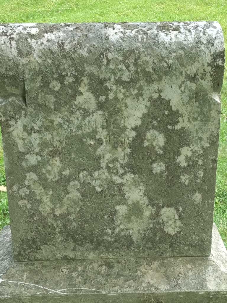 Samuel Jackson's grave. Photo 3