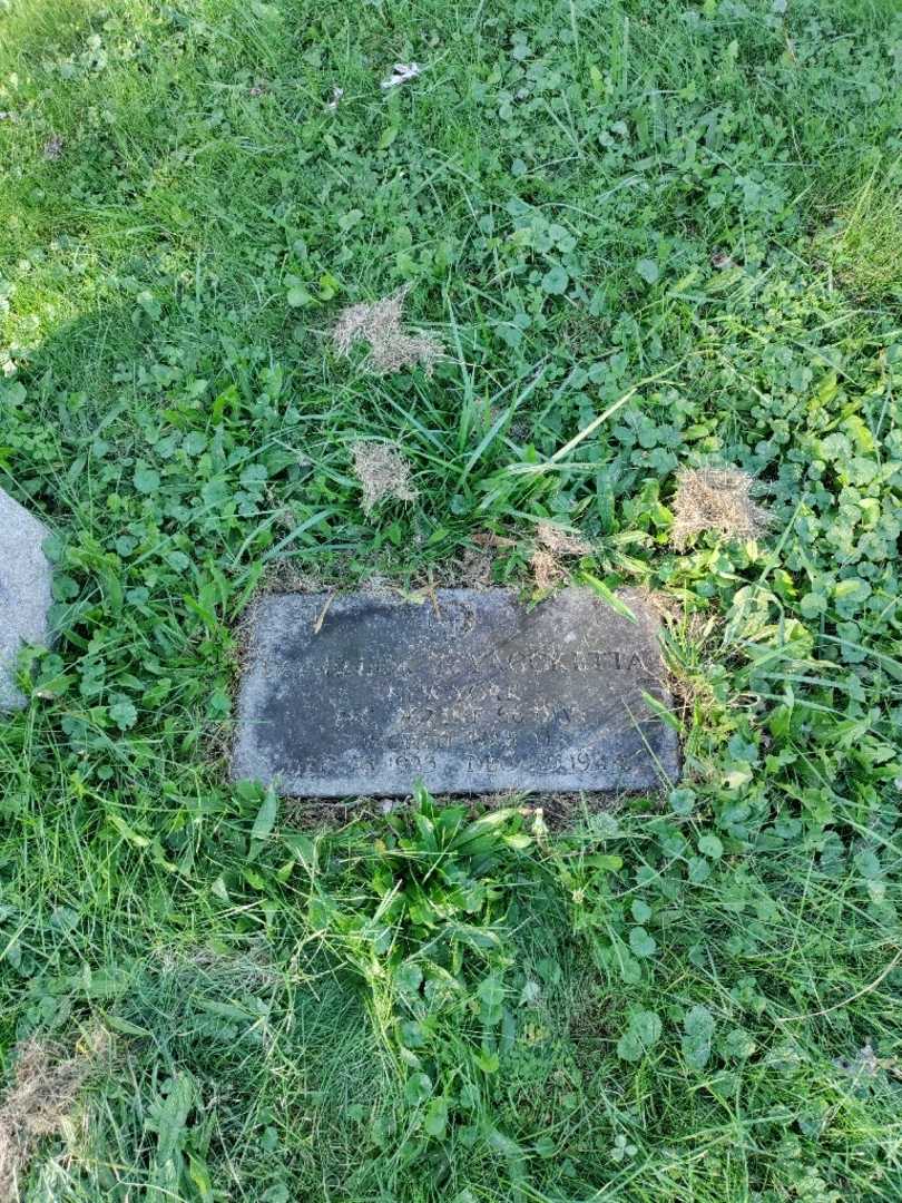 Dominic T. Yaccketta's grave. Photo 2
