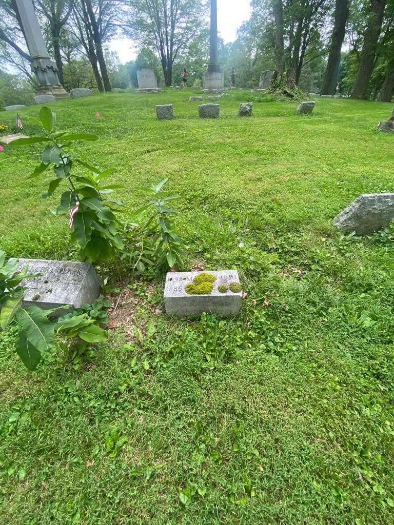 Bessie Single's grave. Photo 1