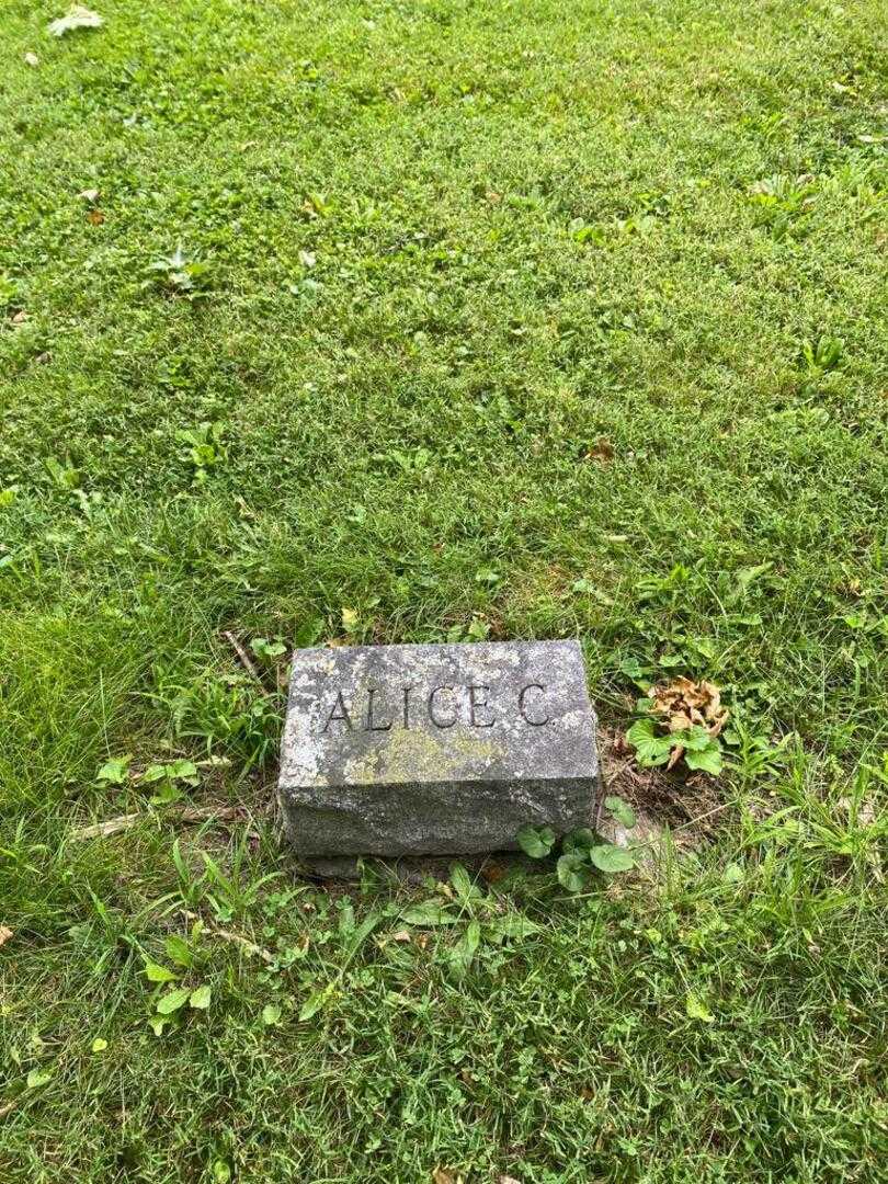 Alice С. Hooker Gettman's grave. Photo 4