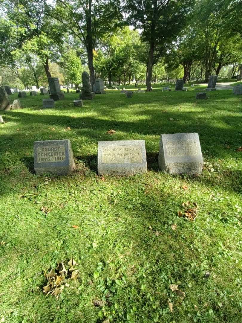 Carl Henry Schneider's grave. Photo 1