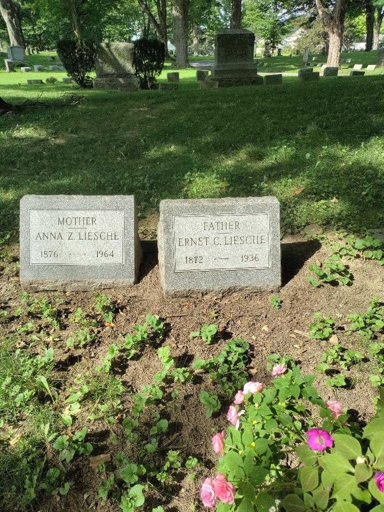 Ernst C. Liesche's grave. Photo 1