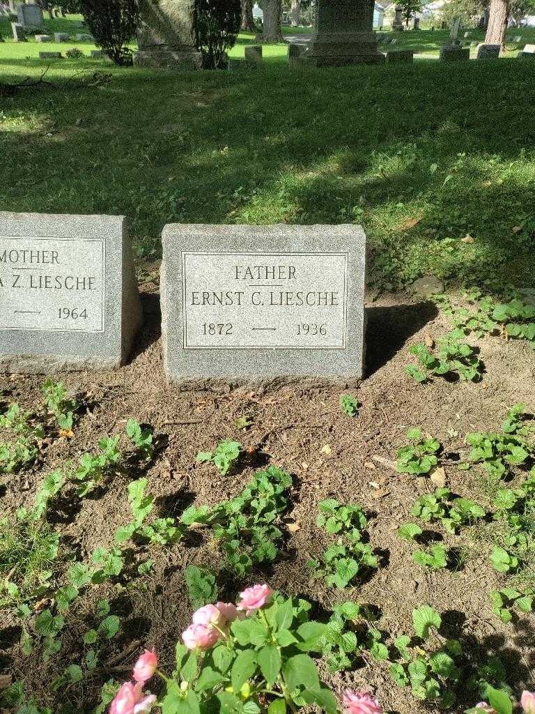 Ernst C. Liesche's grave. Photo 2