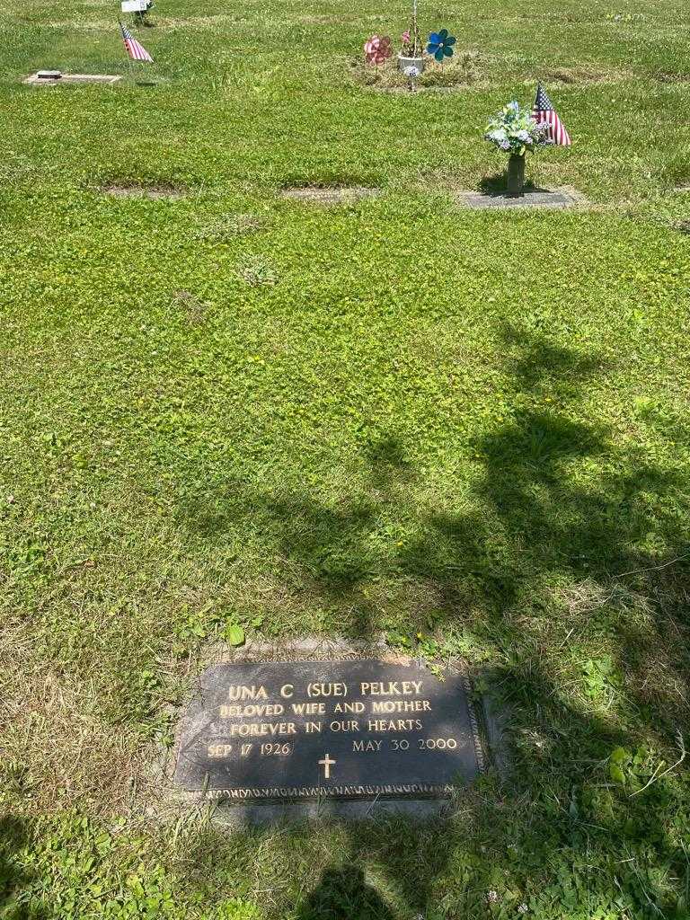 Una C. "Su" Pelkey's grave. Photo 2