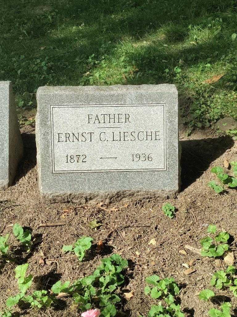 Ernst C. Liesche's grave. Photo 3