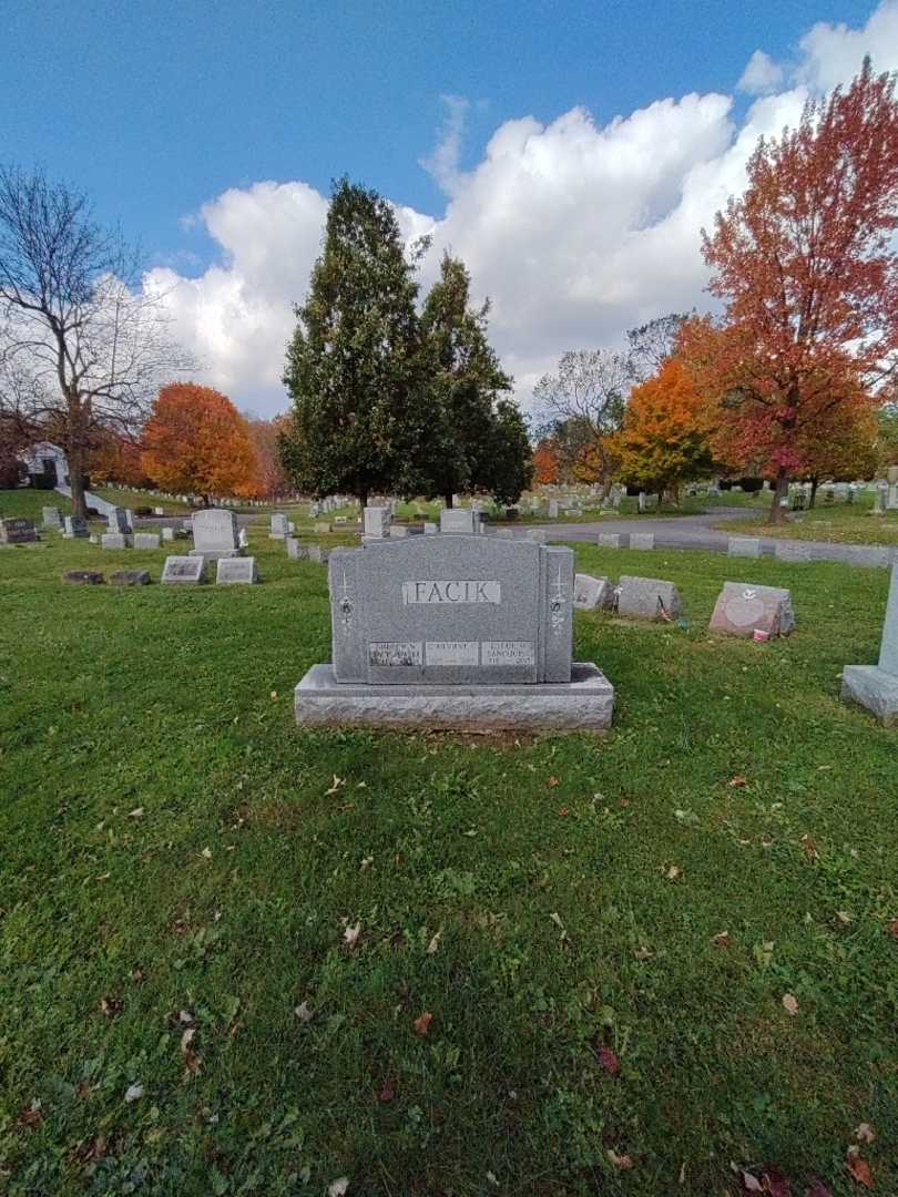 Andrew W. Faciszewski's grave. Photo 1