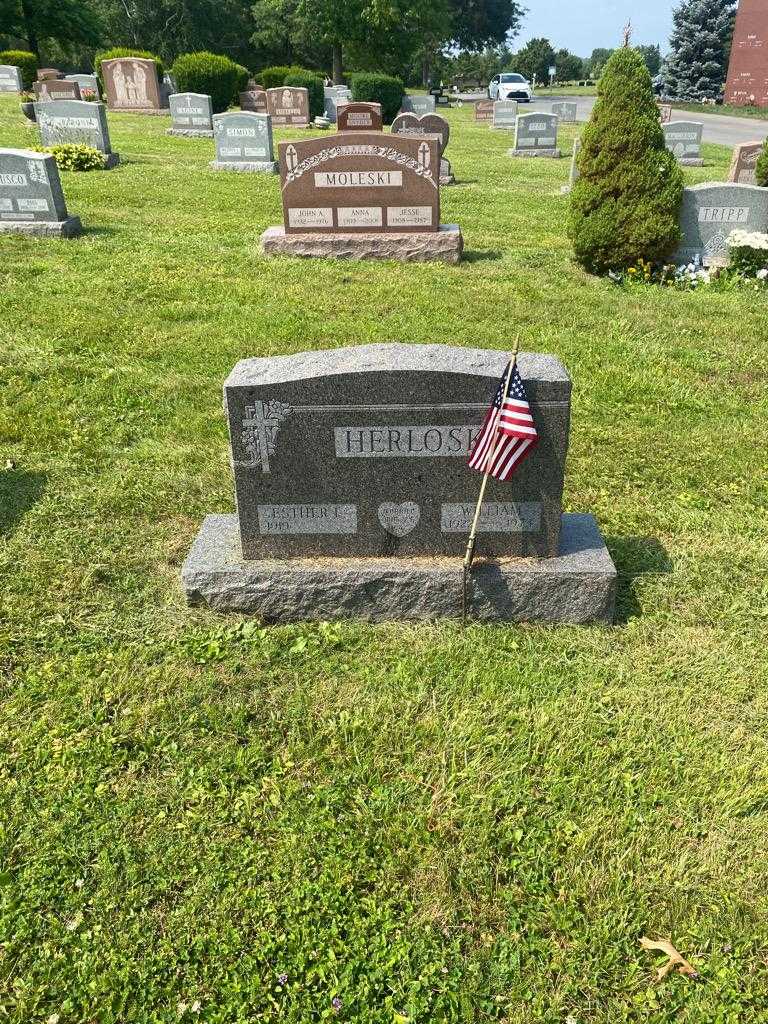 William Herloski's grave. Photo 2