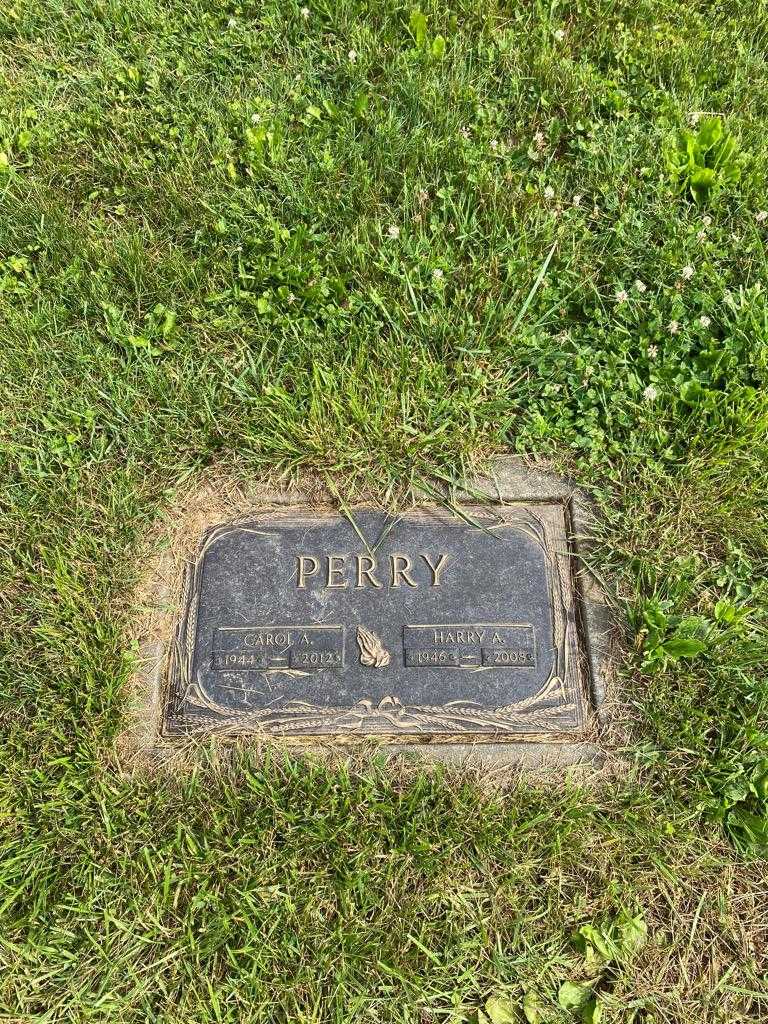 Harry A. Perry's grave. Photo 3