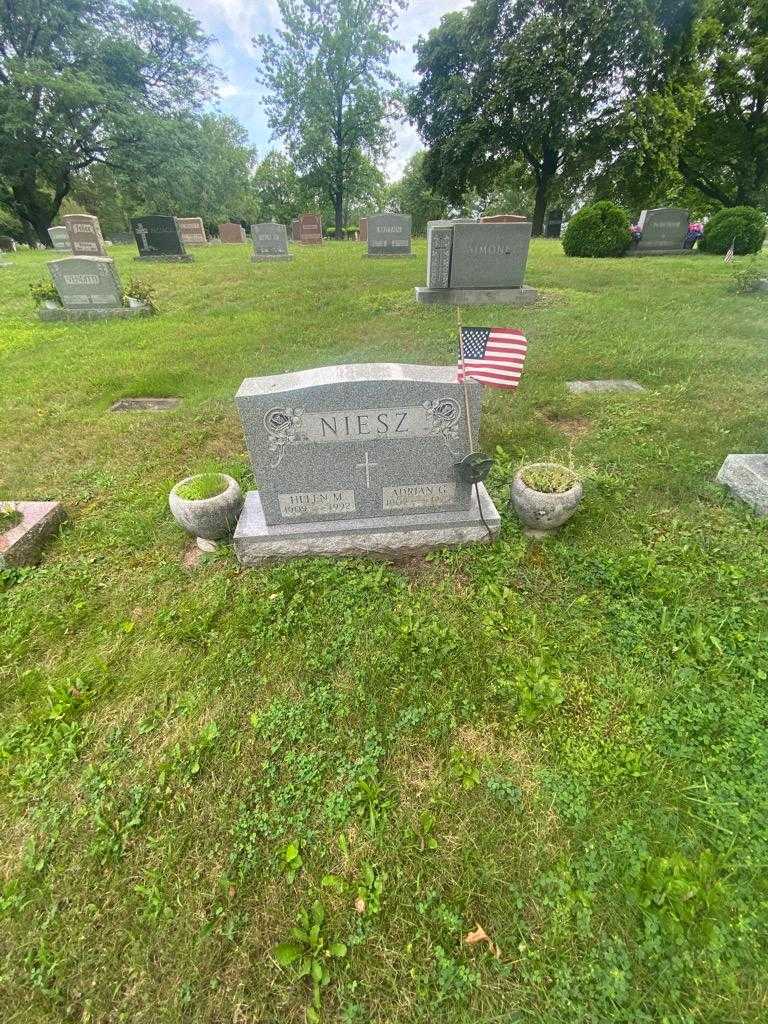 Adrian G. Niesz's grave. Photo 1