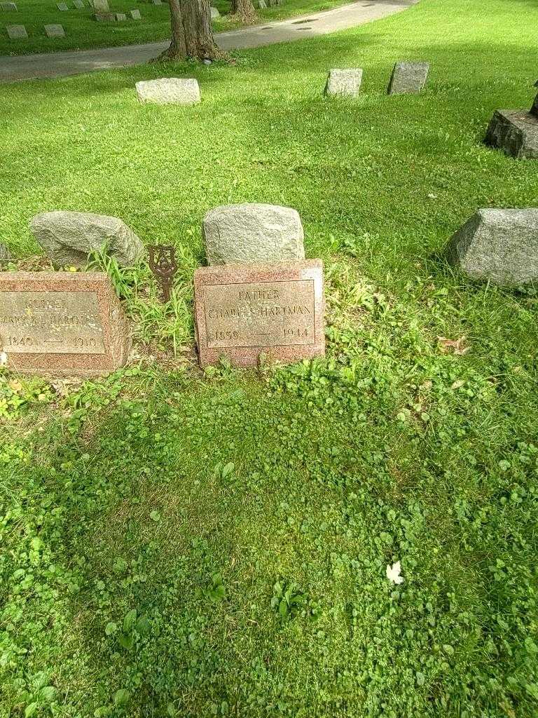 Charles Hartman's grave. Photo 1