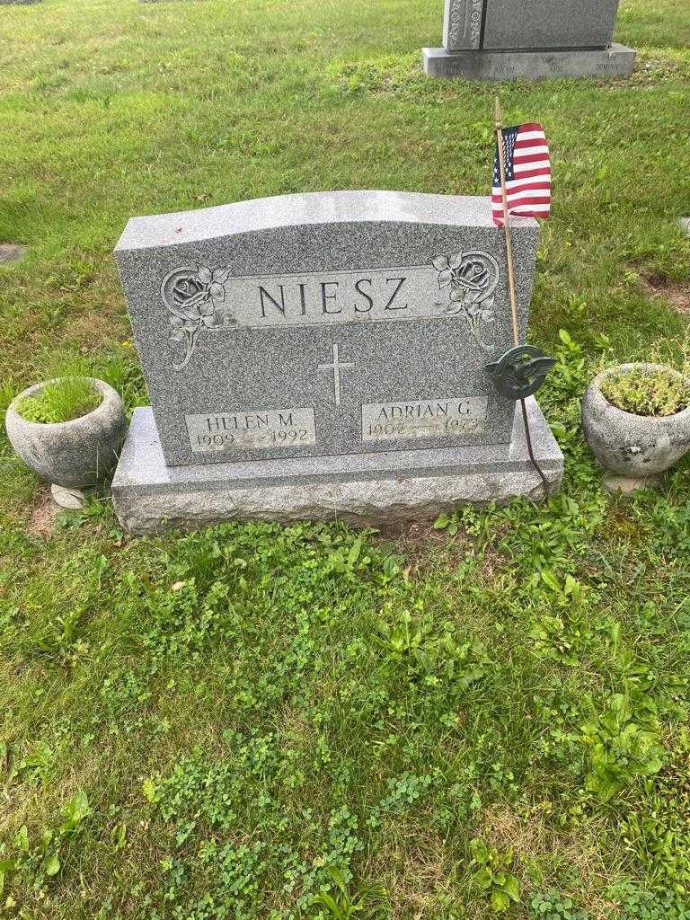 Adrian G. Niesz's grave. Photo 2