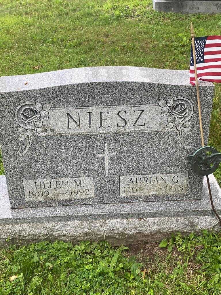 Adrian G. Niesz's grave. Photo 3