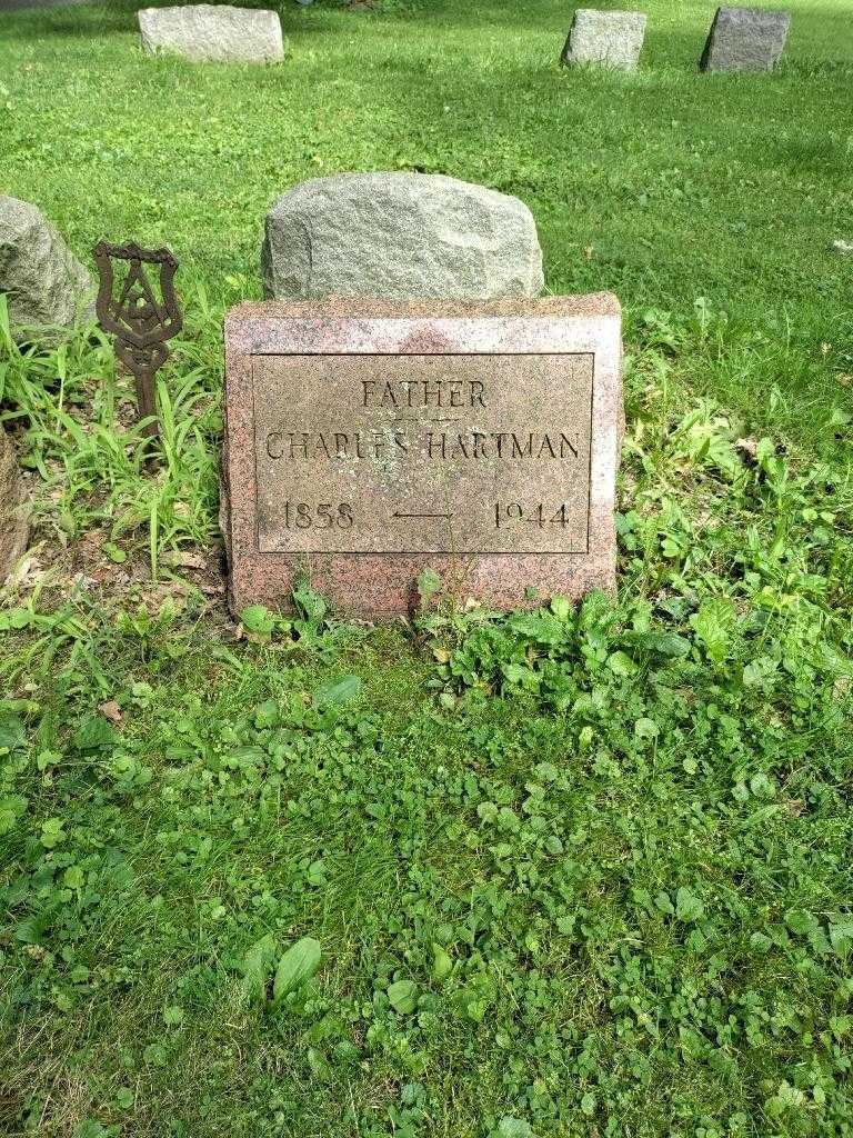 Charles Hartman's grave. Photo 2