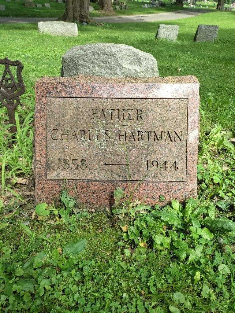 Charles Hartman's grave. Photo 3