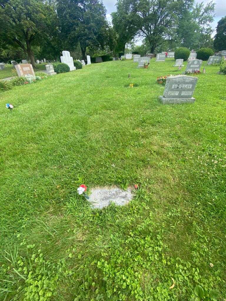 Anthony Wilmot's grave. Photo 1