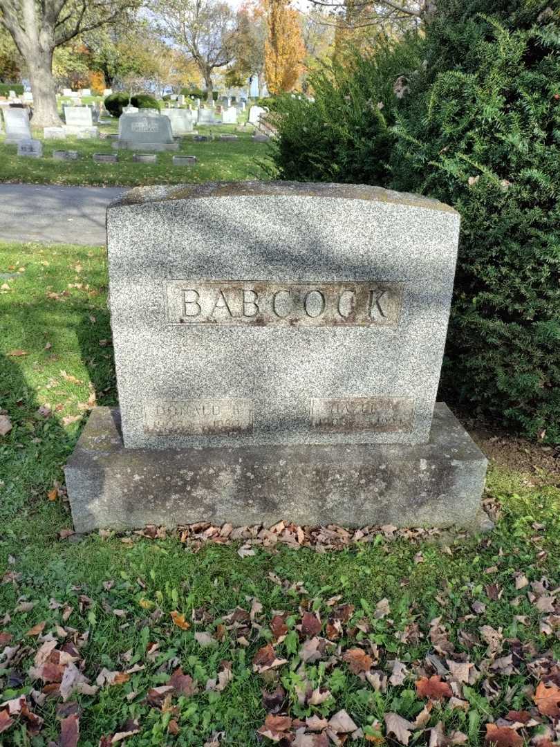 Donald B. Babcock's grave. Photo 2