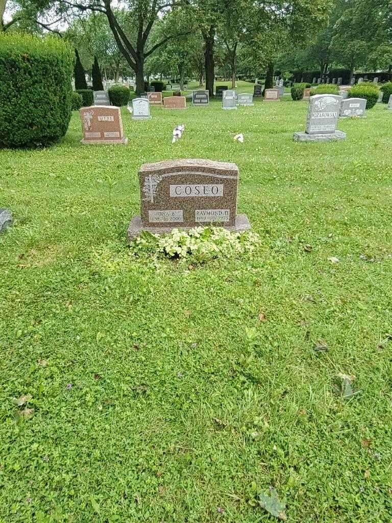 Raymond D. Coseo's grave. Photo 1