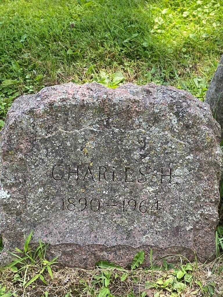 Charles H. Mcleod's grave. Photo 3