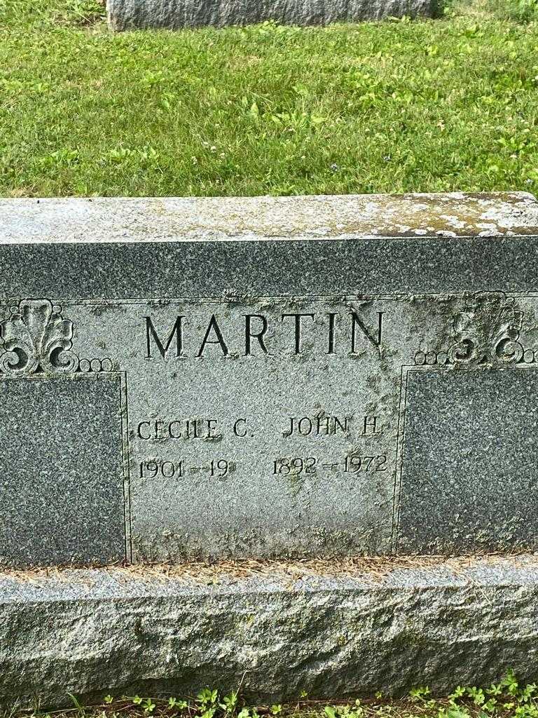 Cecile C. Martin's grave. Photo 3