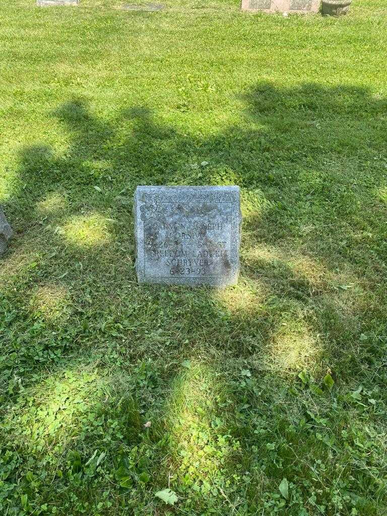 Freedom Laduke Schryver's grave. Photo 2
