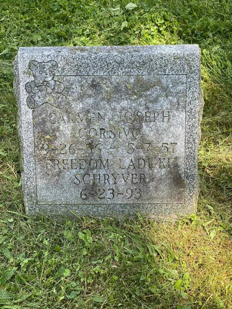 Freedom Laduke Schryver's grave. Photo 3