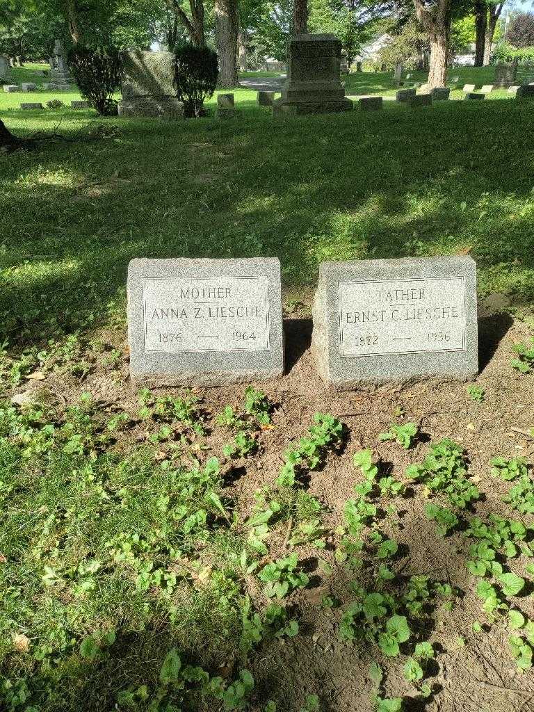 Anna Z. Liesche's grave. Photo 1
