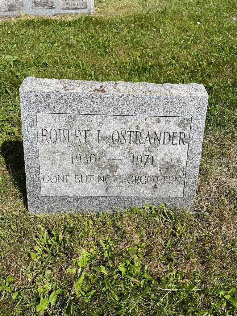 Robert L. Ostrander's grave. Photo 3