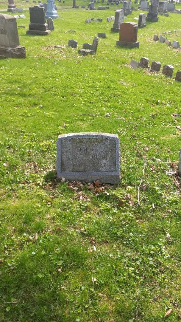 Louis Biehl's grave. Photo 2
