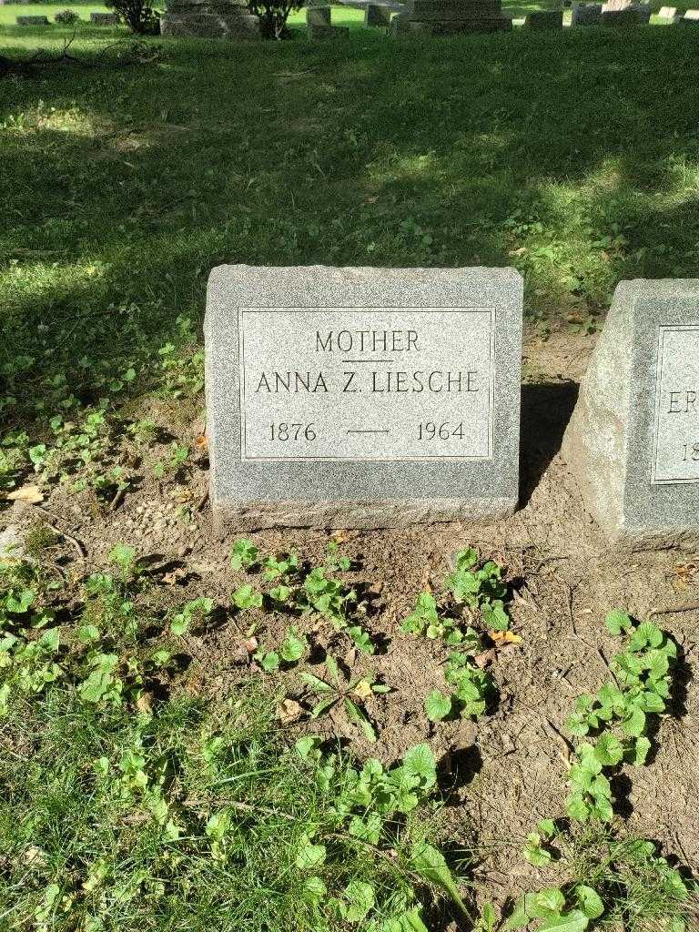 Anna Z. Liesche's grave. Photo 2