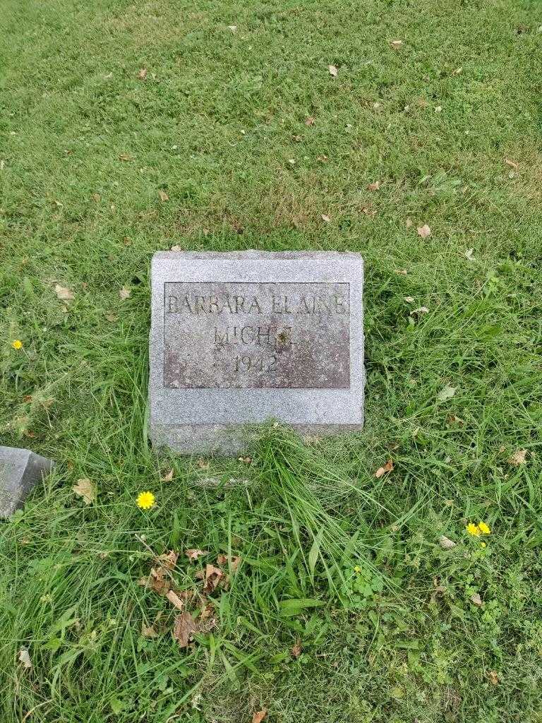 Barbara Elaine Michel's grave. Photo 2