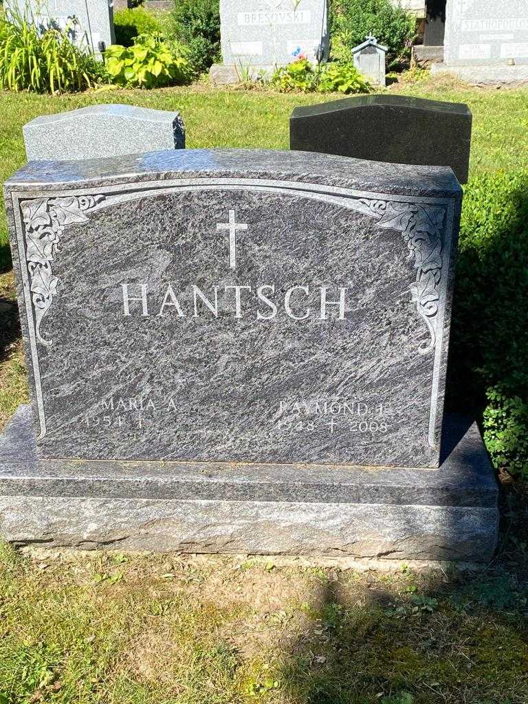 Raymond I. Hantsch's grave. Photo 3