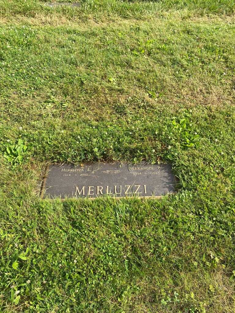 Alexander P. Merluzzi's grave. Photo 2
