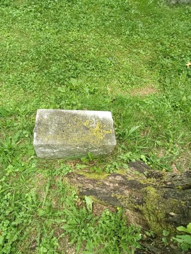 Edward Mcguigan's grave. Photo 3