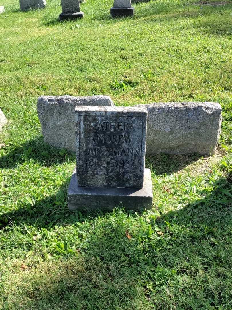 Andrew Habermann's grave. Photo 2